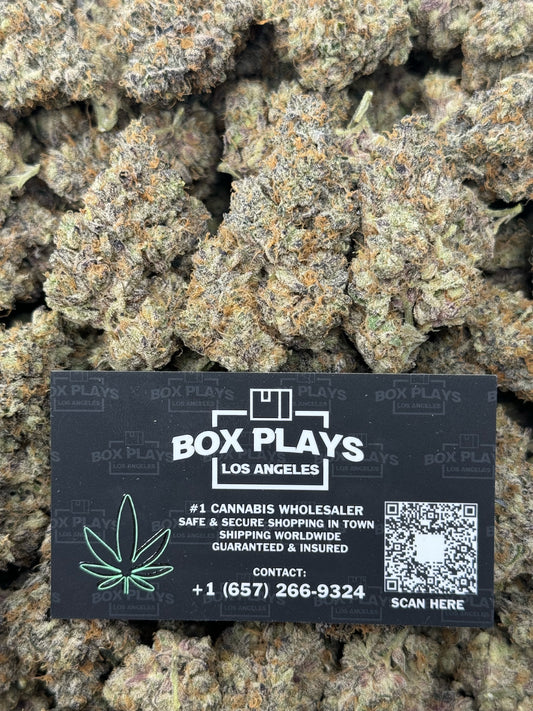 Crazy Animal Cookies