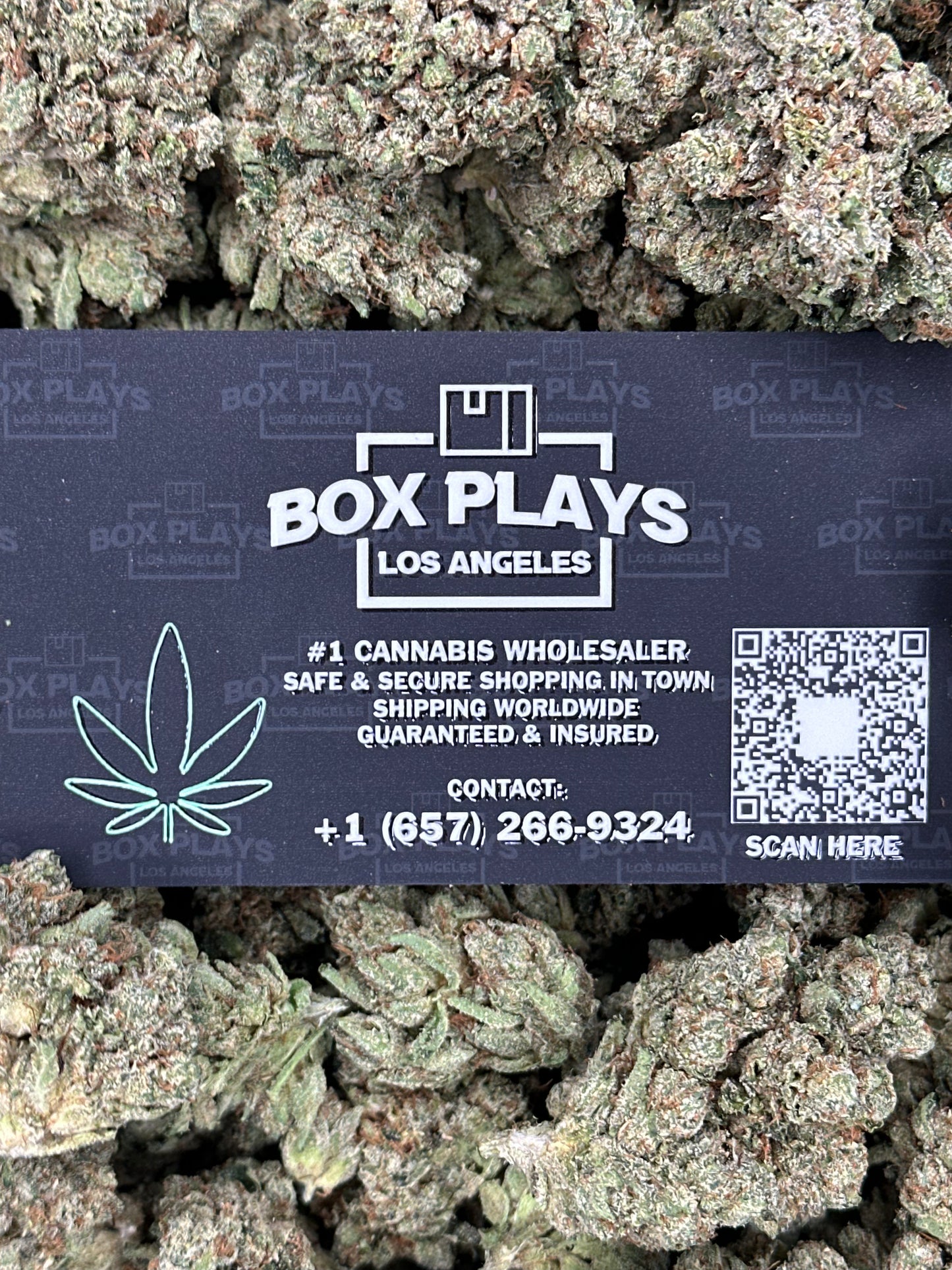 King Louis OG