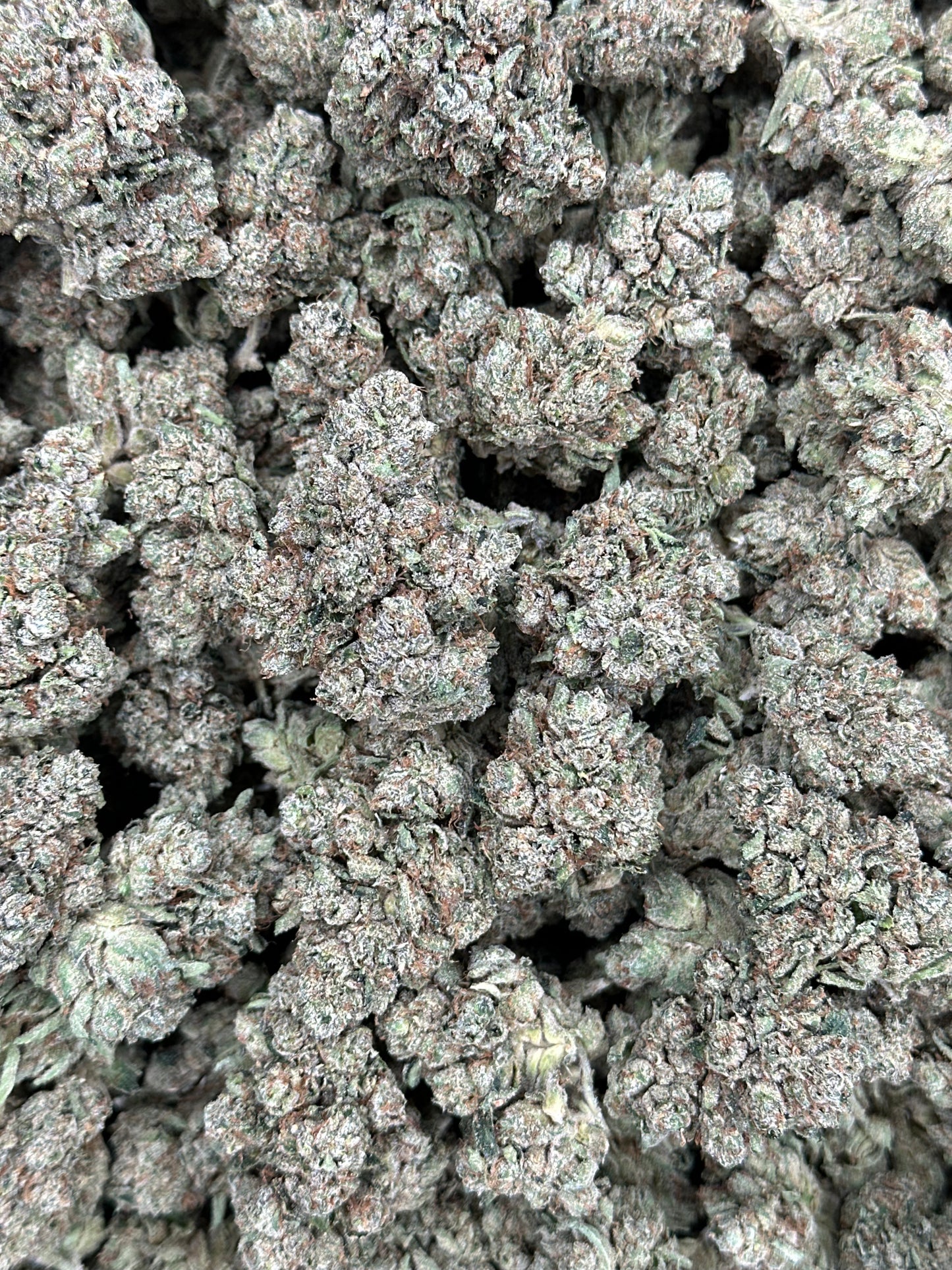 King Louis OG