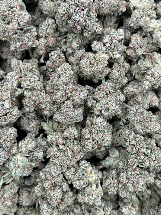 King Louis OG