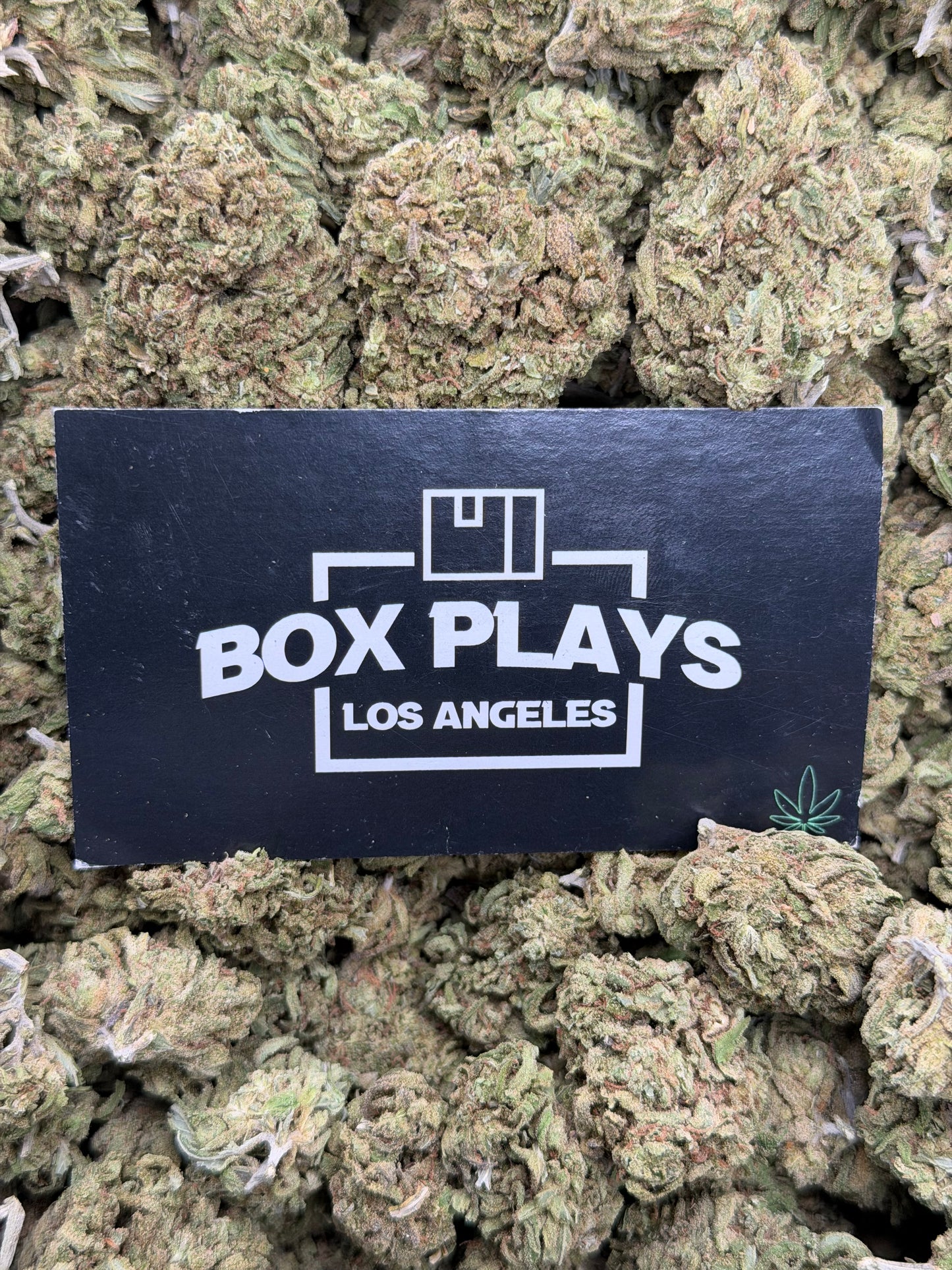 Blue Dream