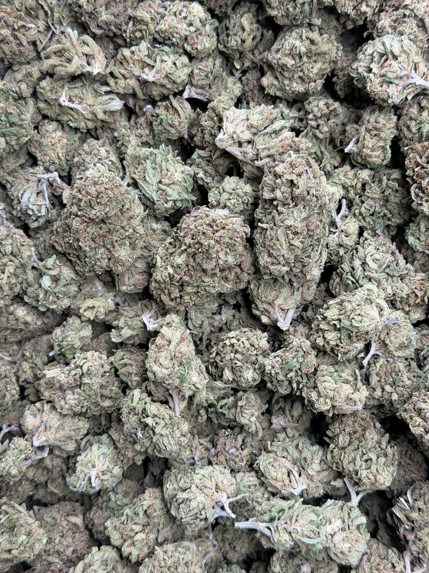 Blue Dream
