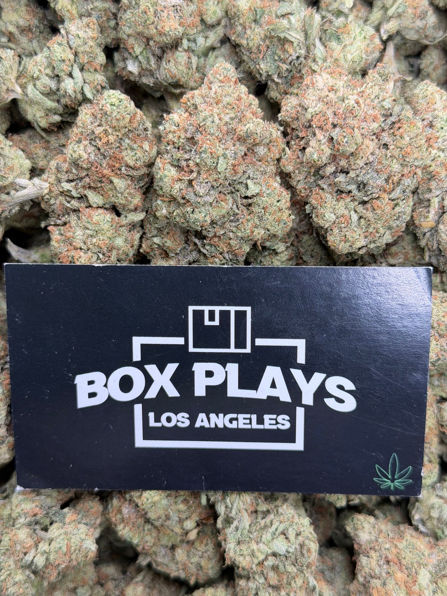 Alien OG Kush
