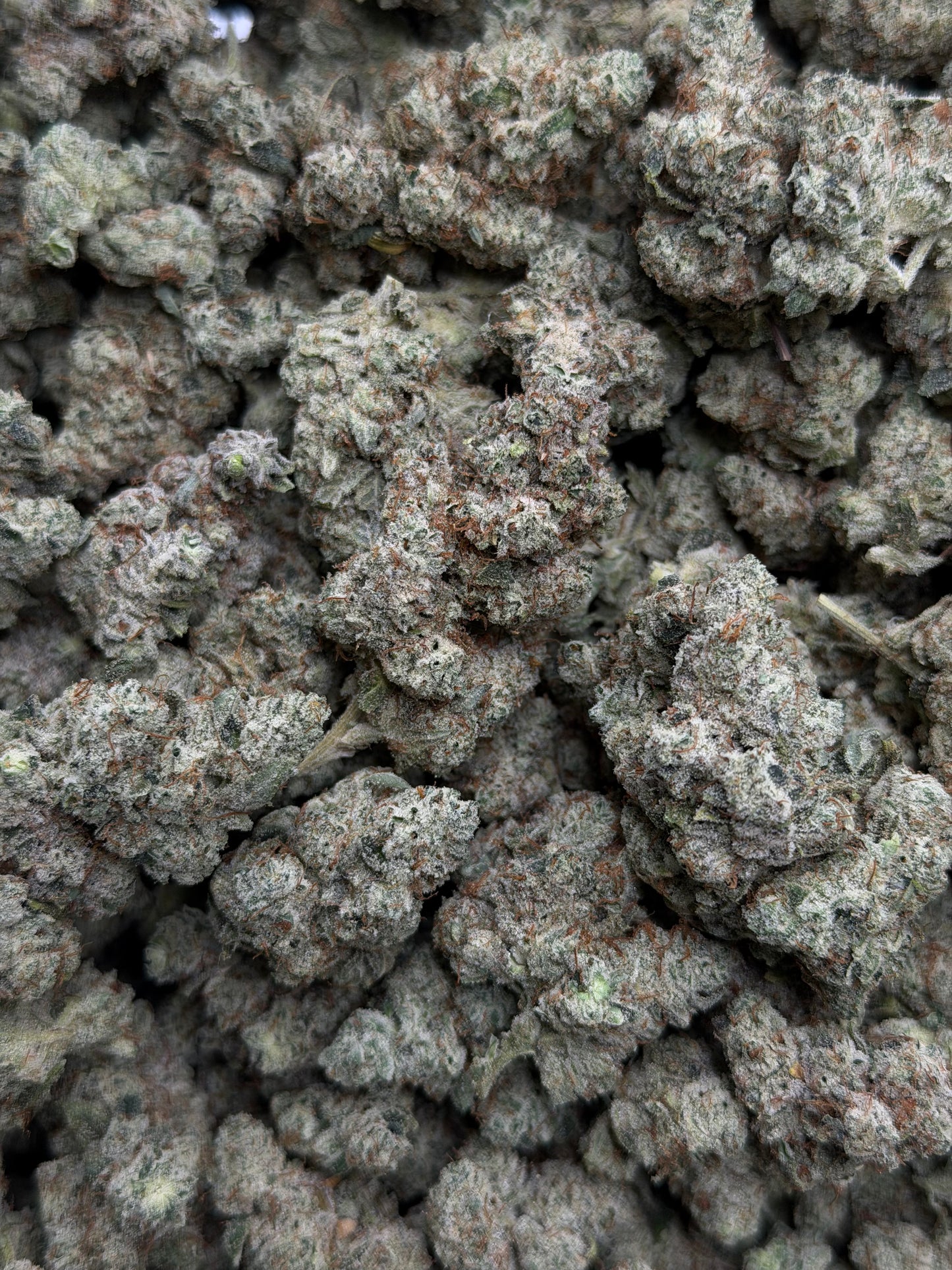 Super Glue