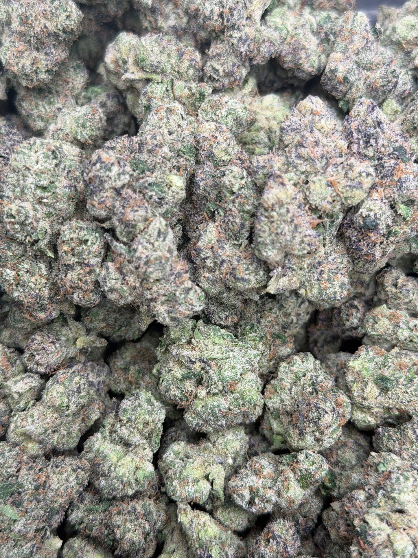 Pink Nerdz