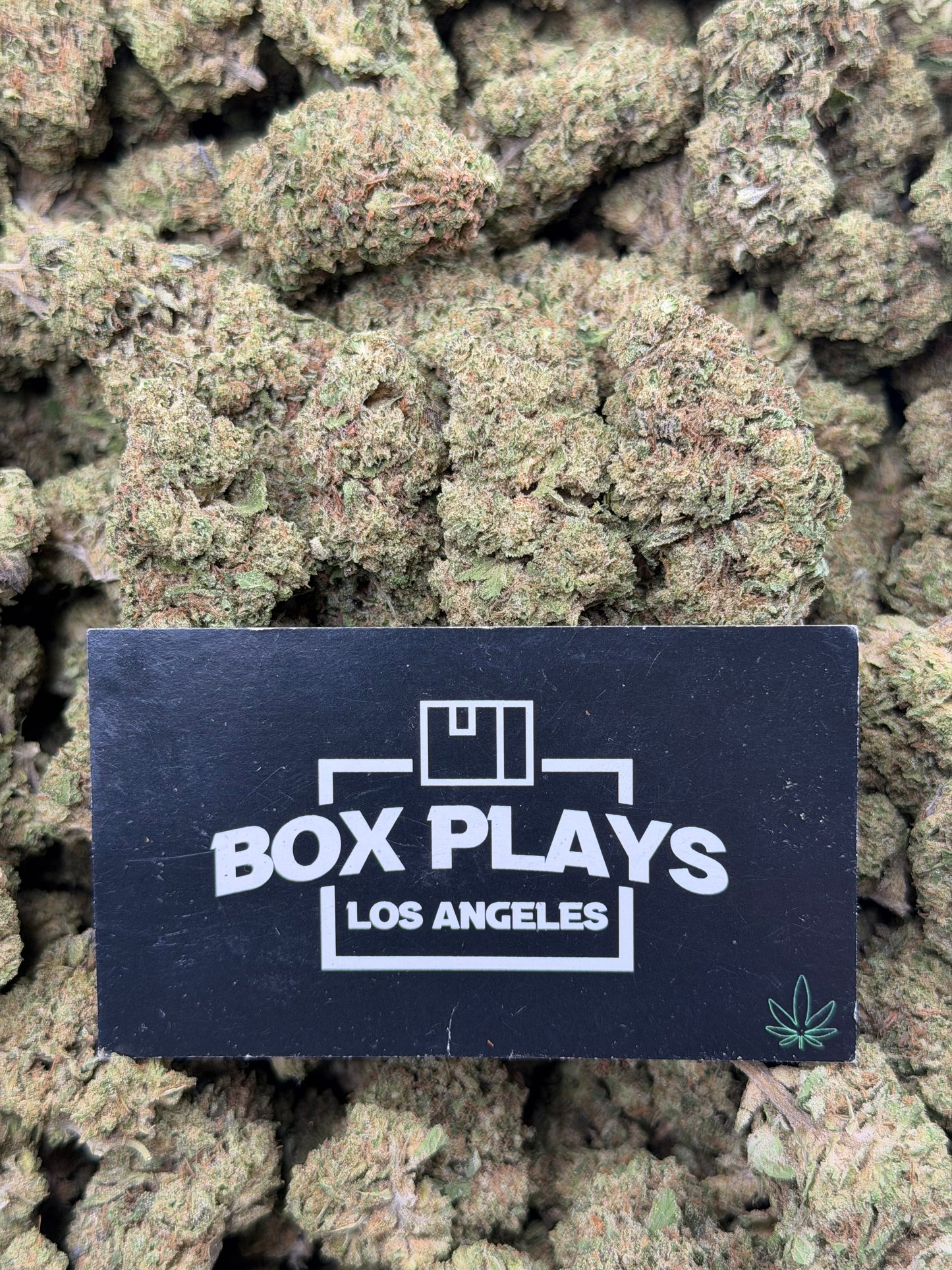 ChemDawg