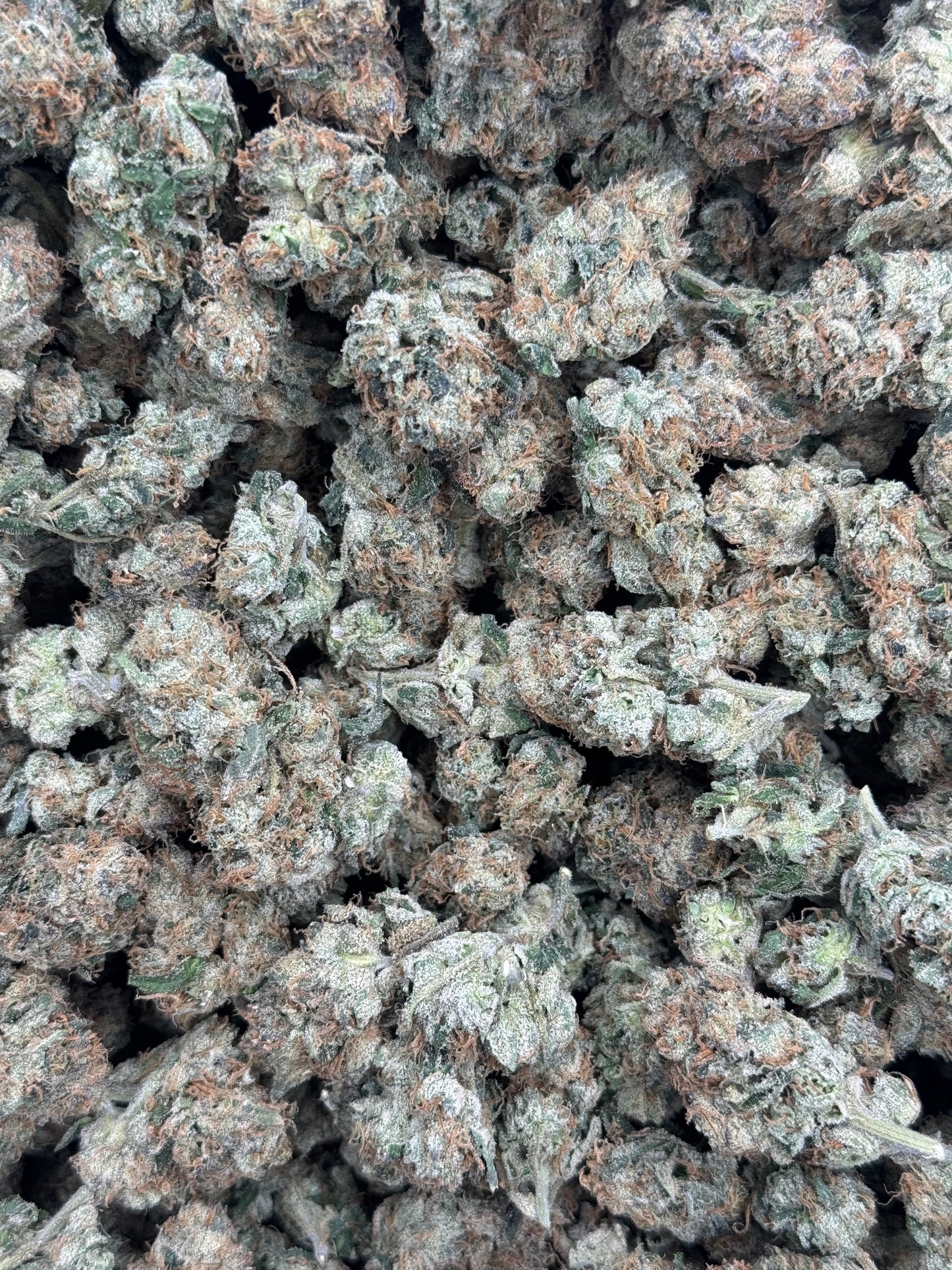 Skittlez Rush