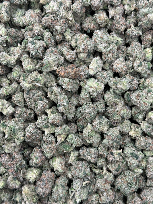 Gelato 41 Small