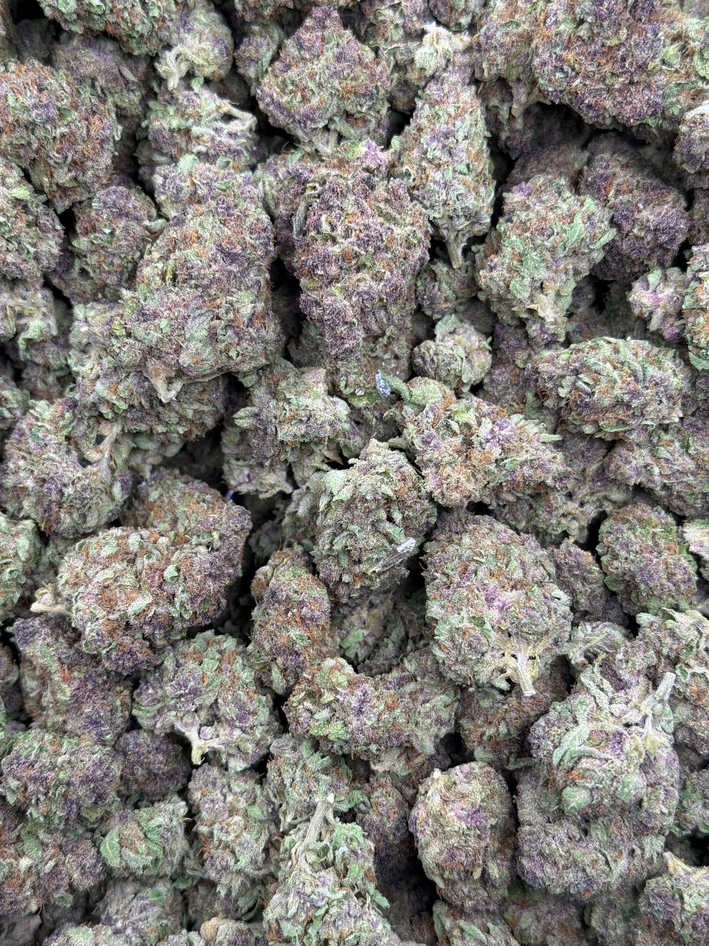 Unicorn Poop