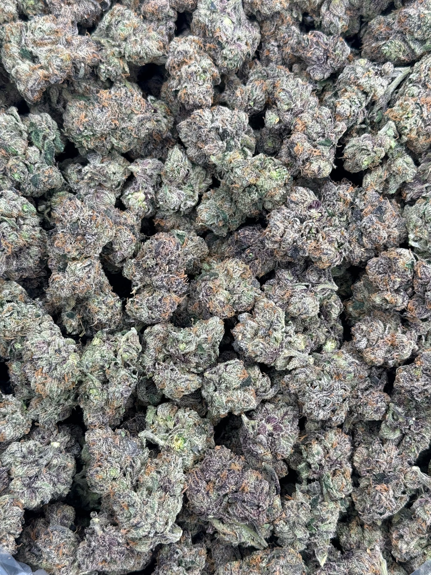 Watermelon Gelato