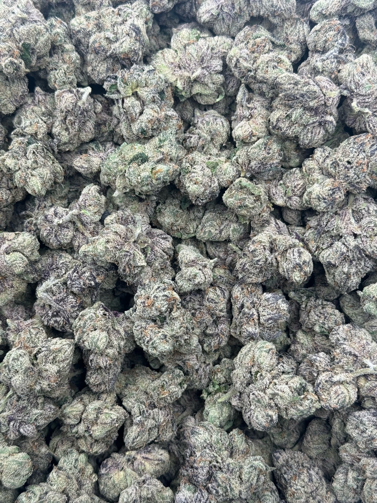 Sour Patch