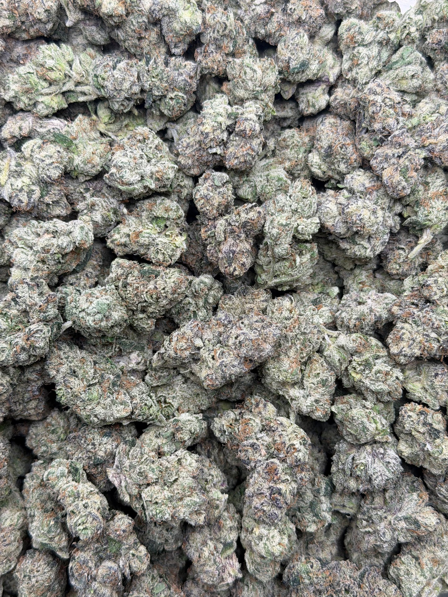 Wild Cherry