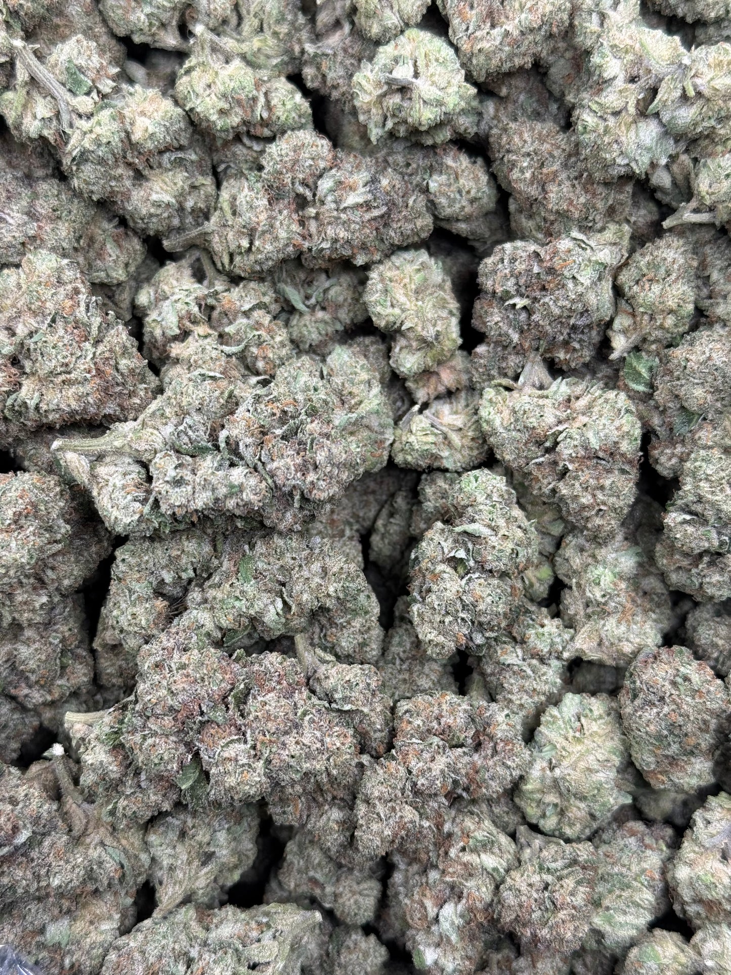 Purple Creme