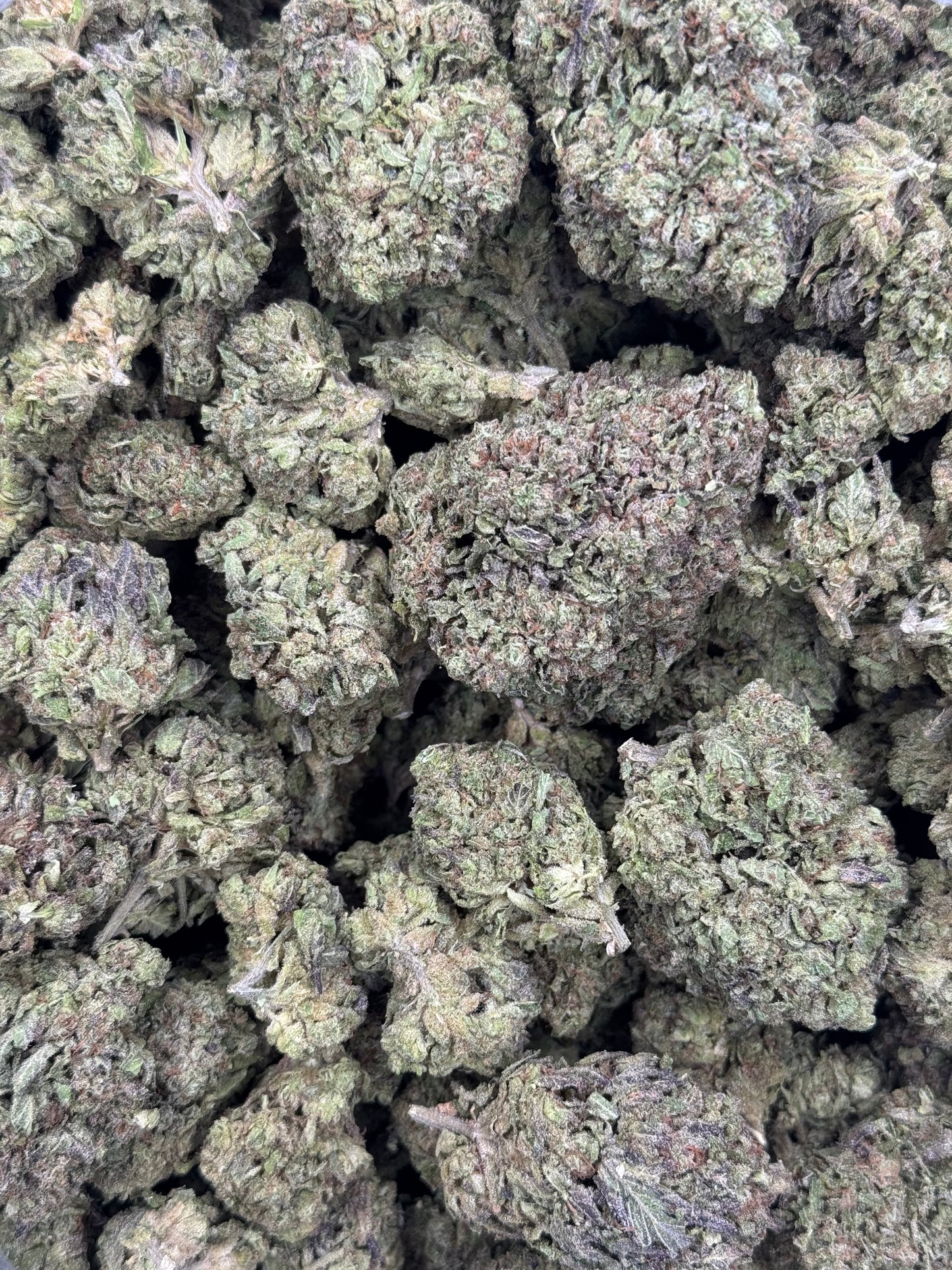 Purple Berry Gelato