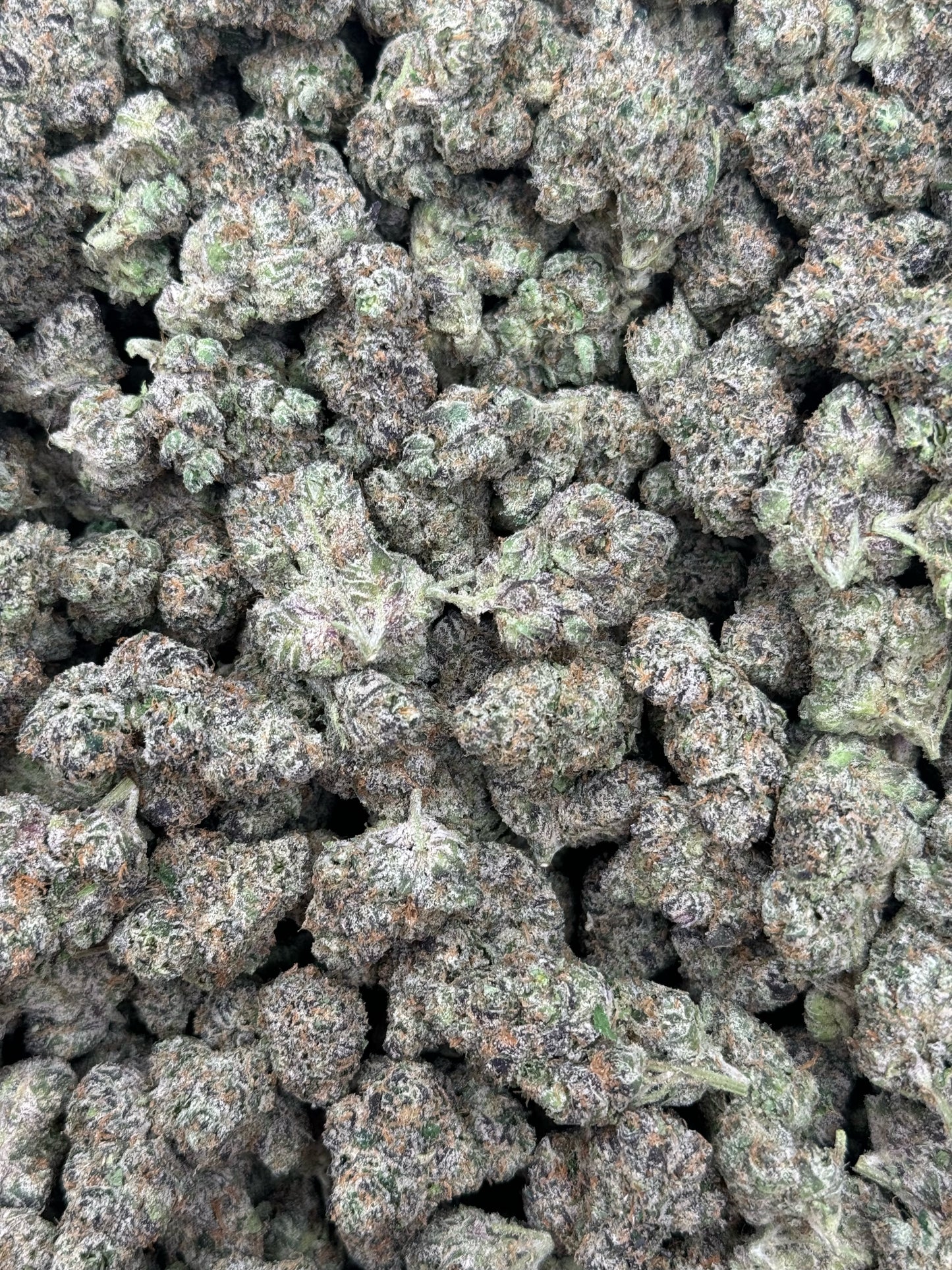 G33