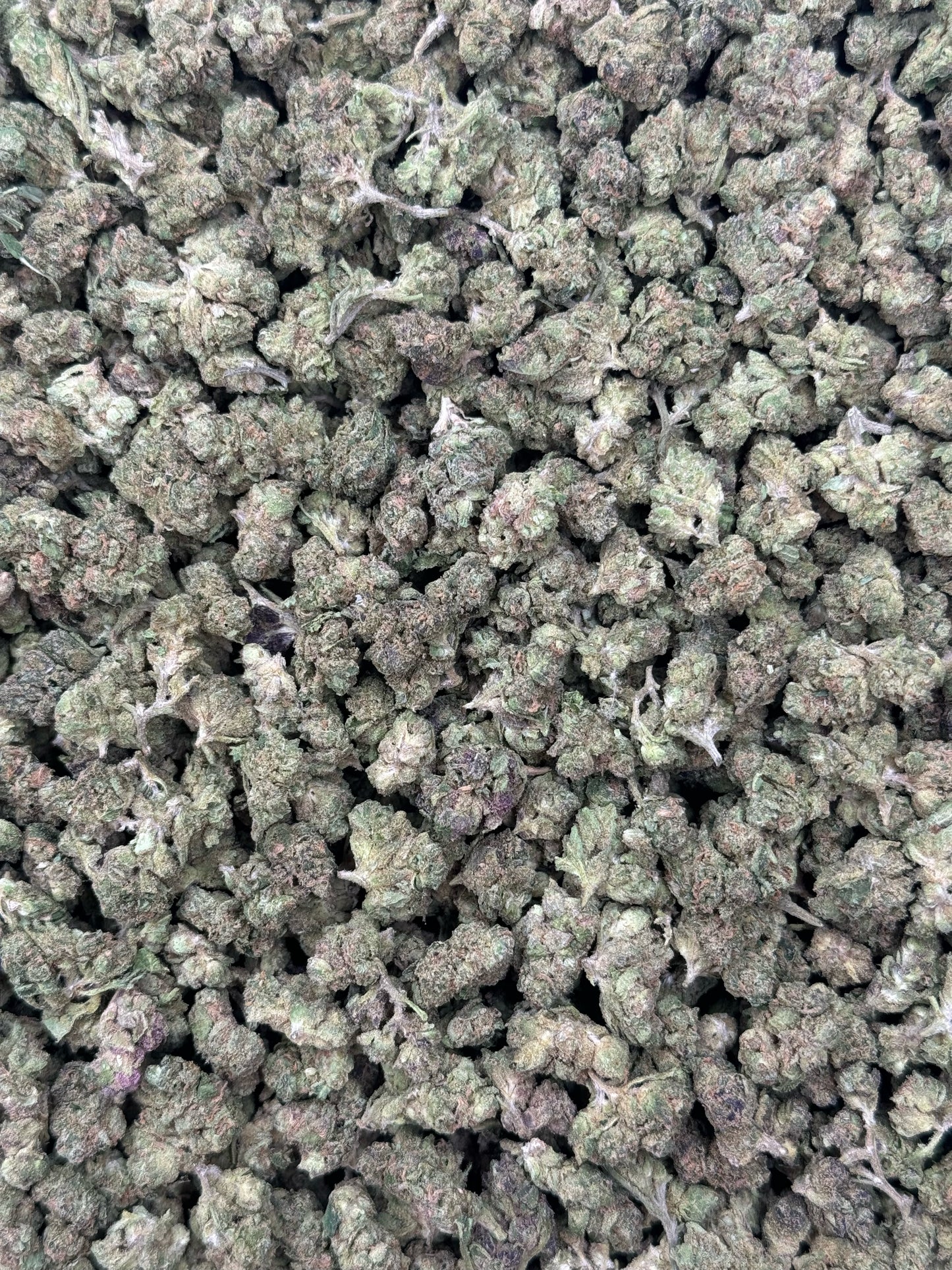 Gushberry