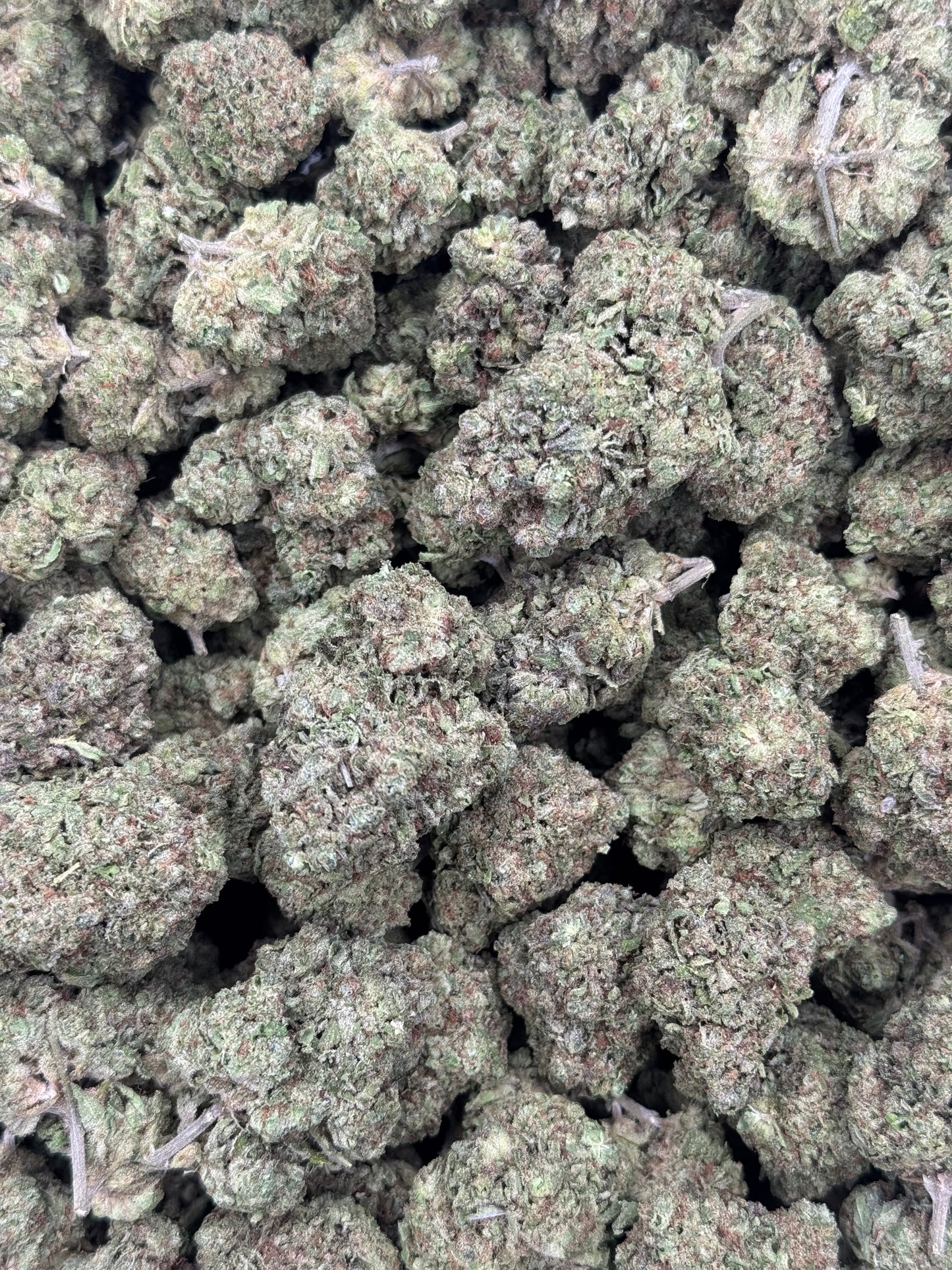 Girl Scout Cookies