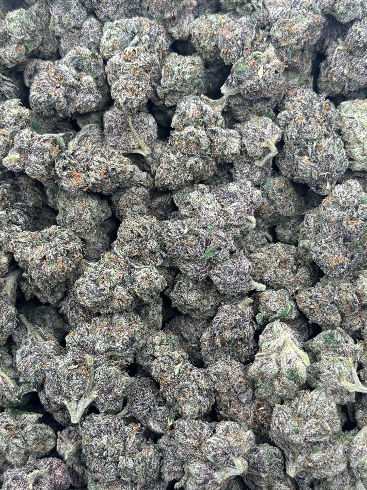 Pink Guava