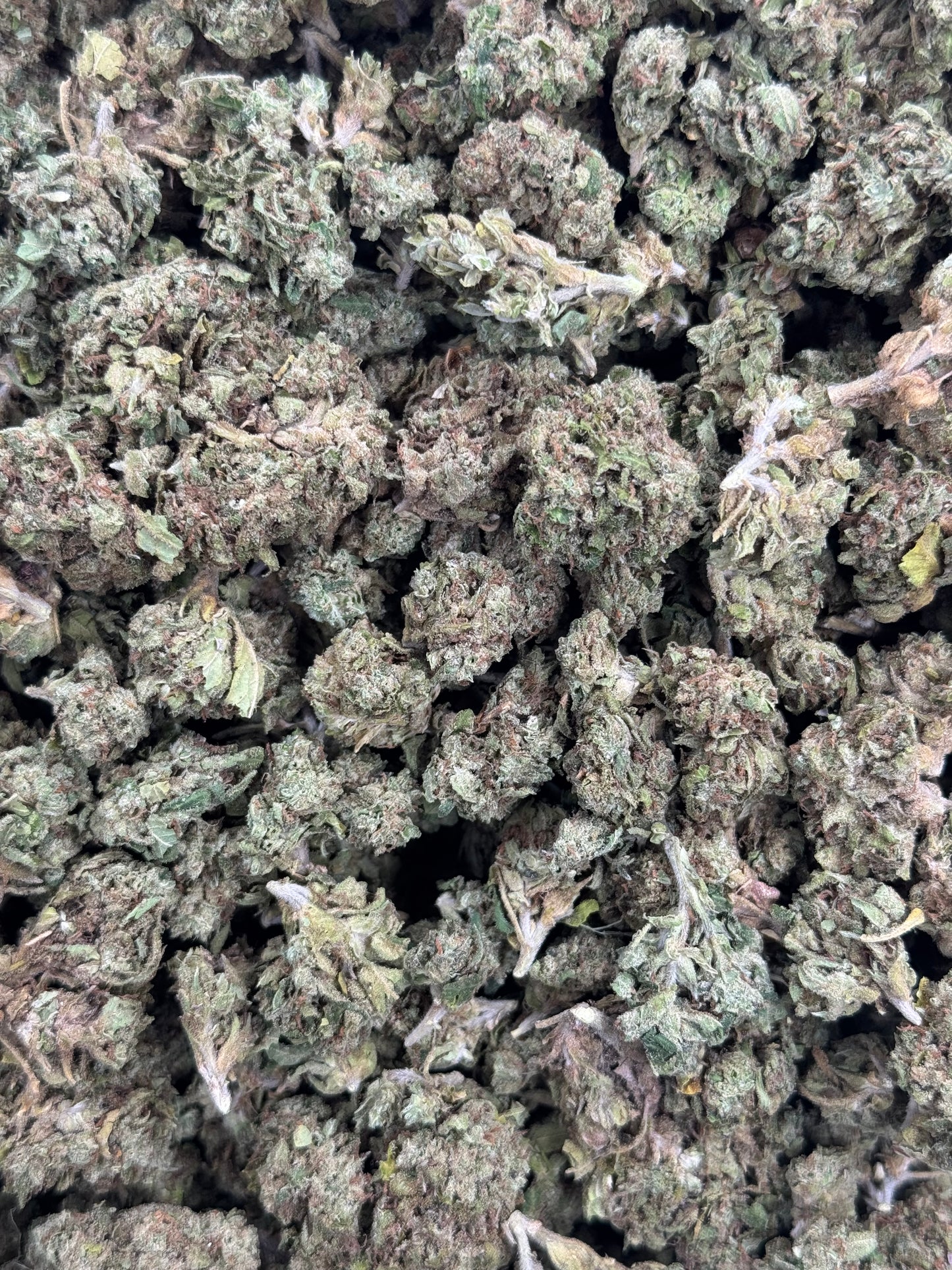 G47