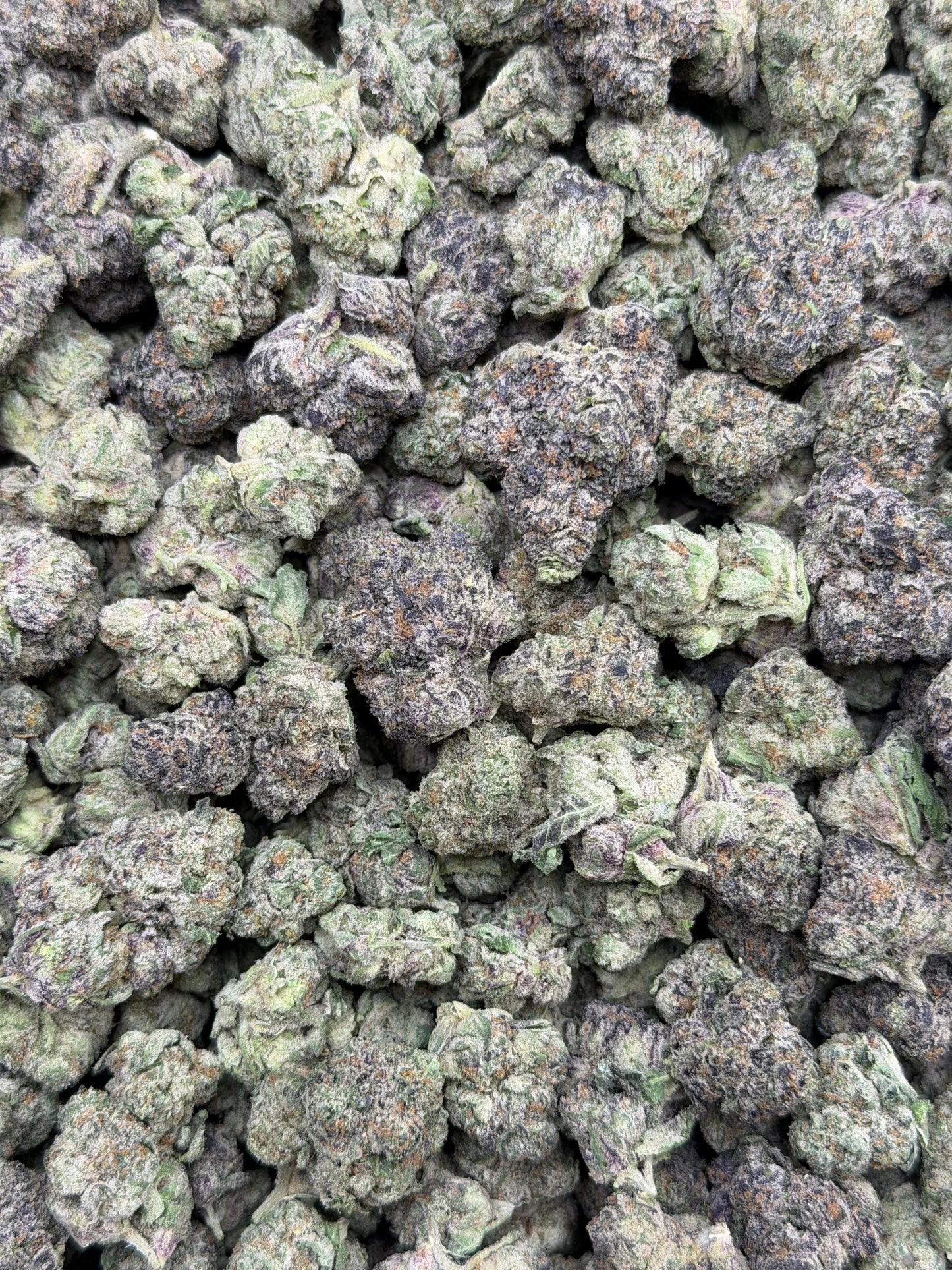 Purple Astroids