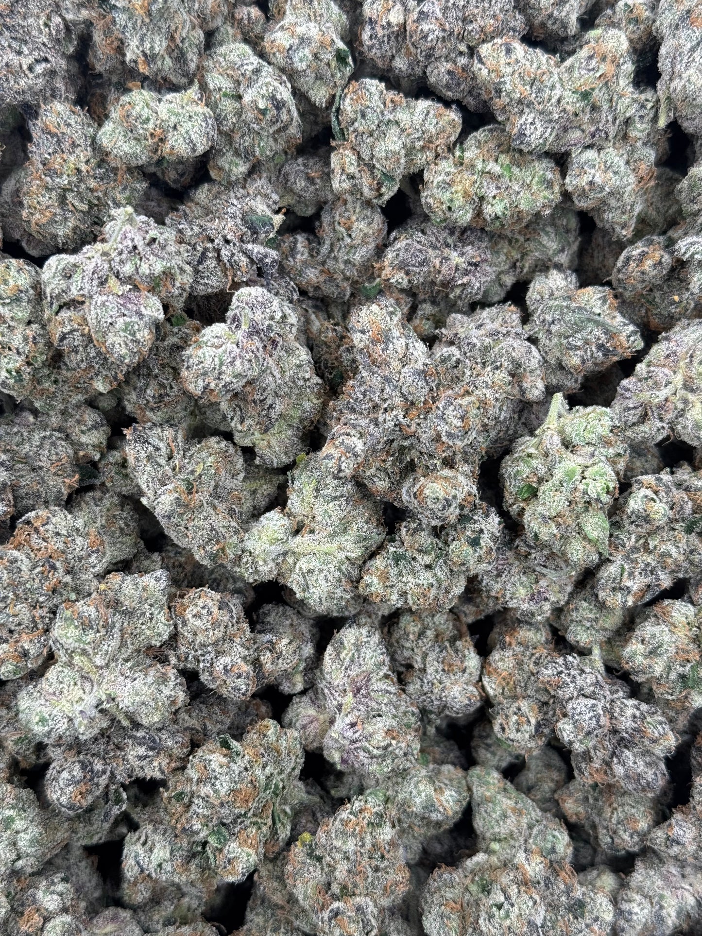 Wild Berry Gelato