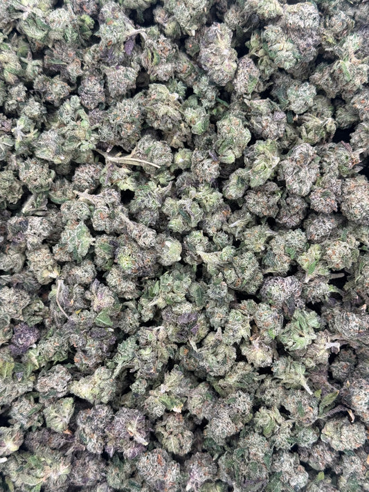 Gelato Candy Small