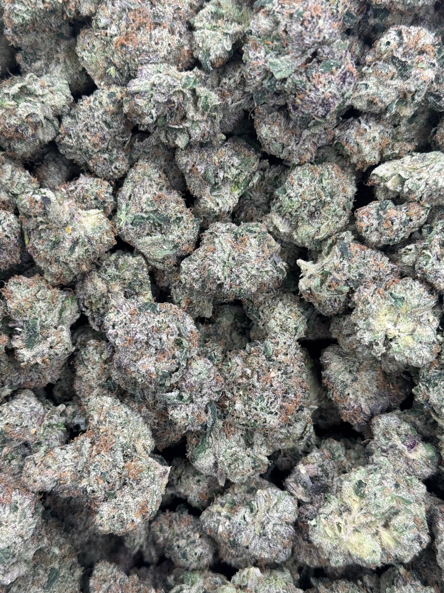 Zombie Cherries