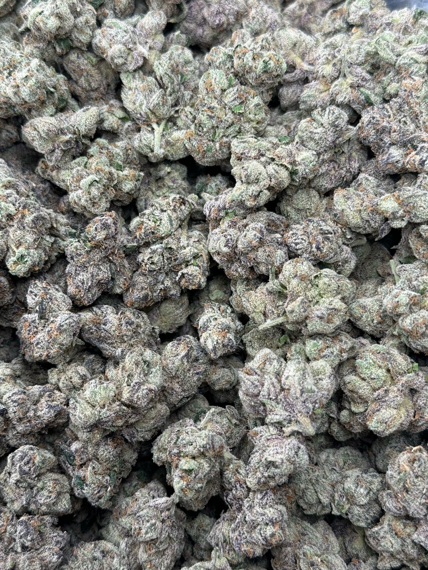 Pink Guava