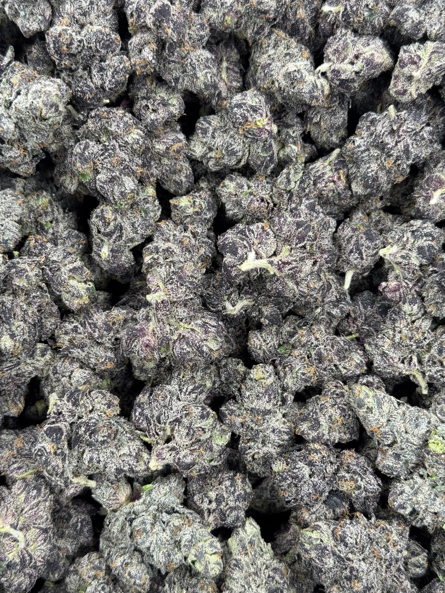 Purple Candy