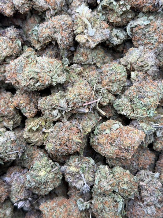 Indoor Bubba