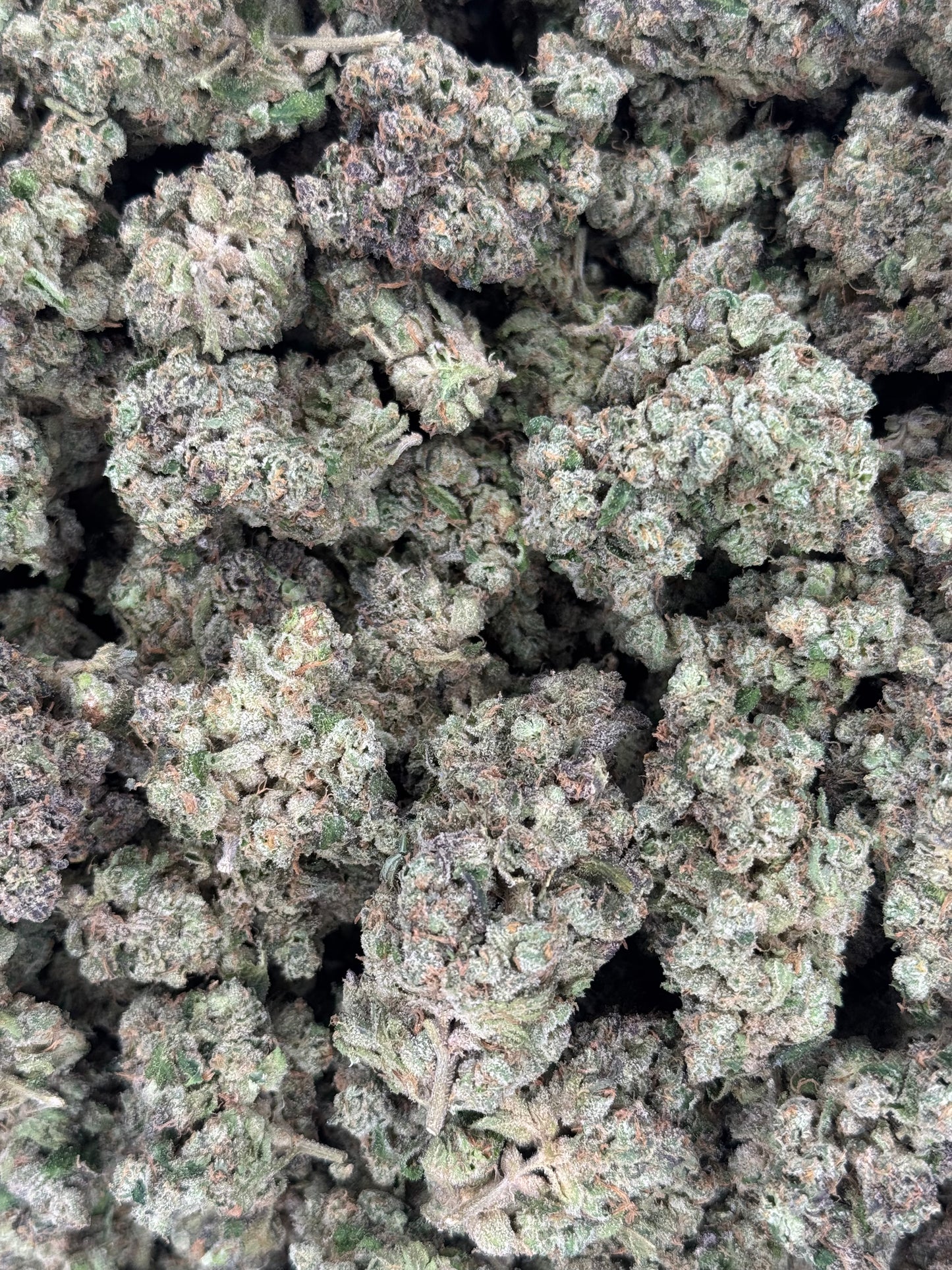 Sour Runtz