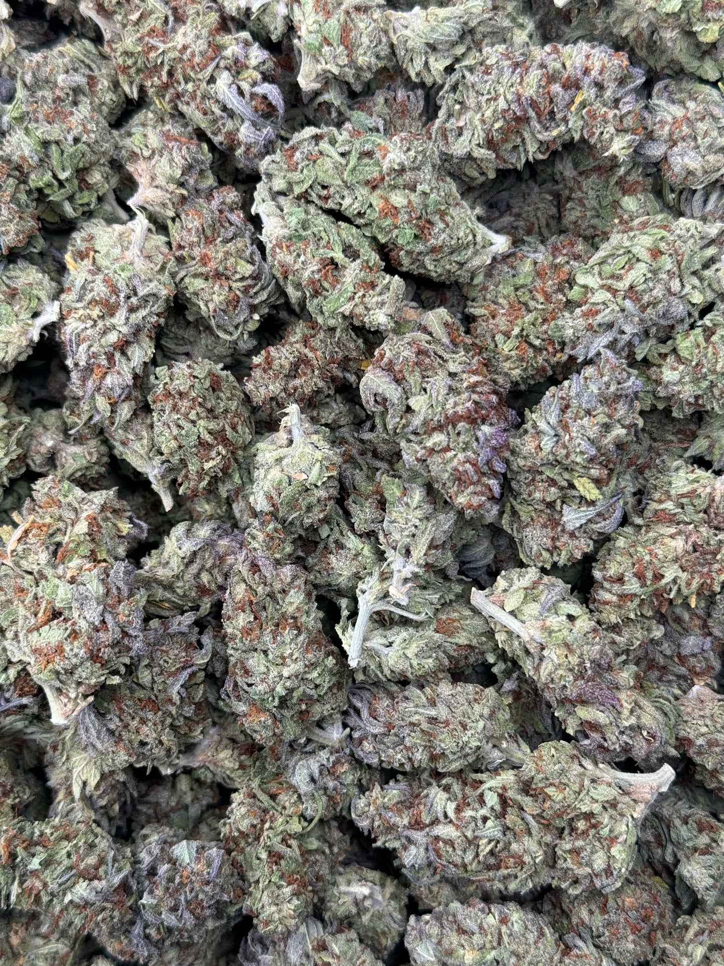 Toad Venom Gelato
