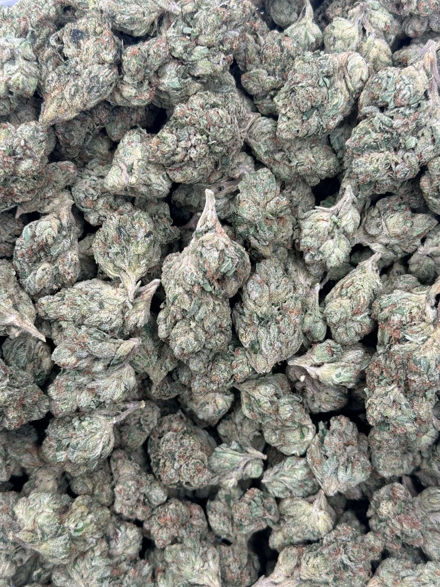 Kosher Kush