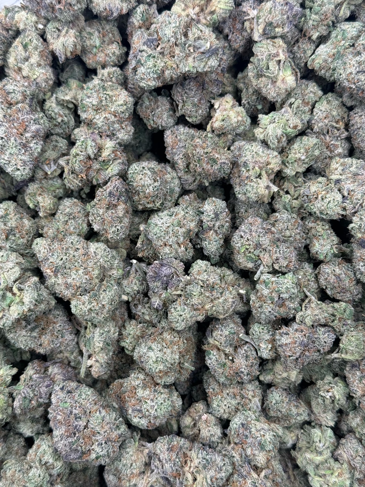 White Cherry Gelato