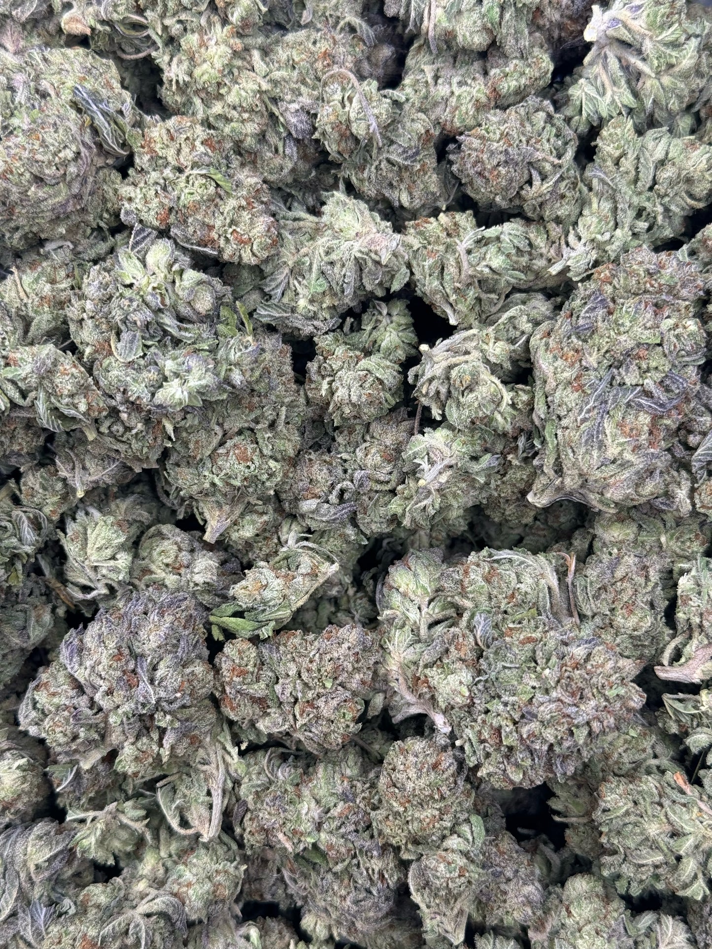 Gelato King