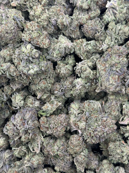 Gelato King