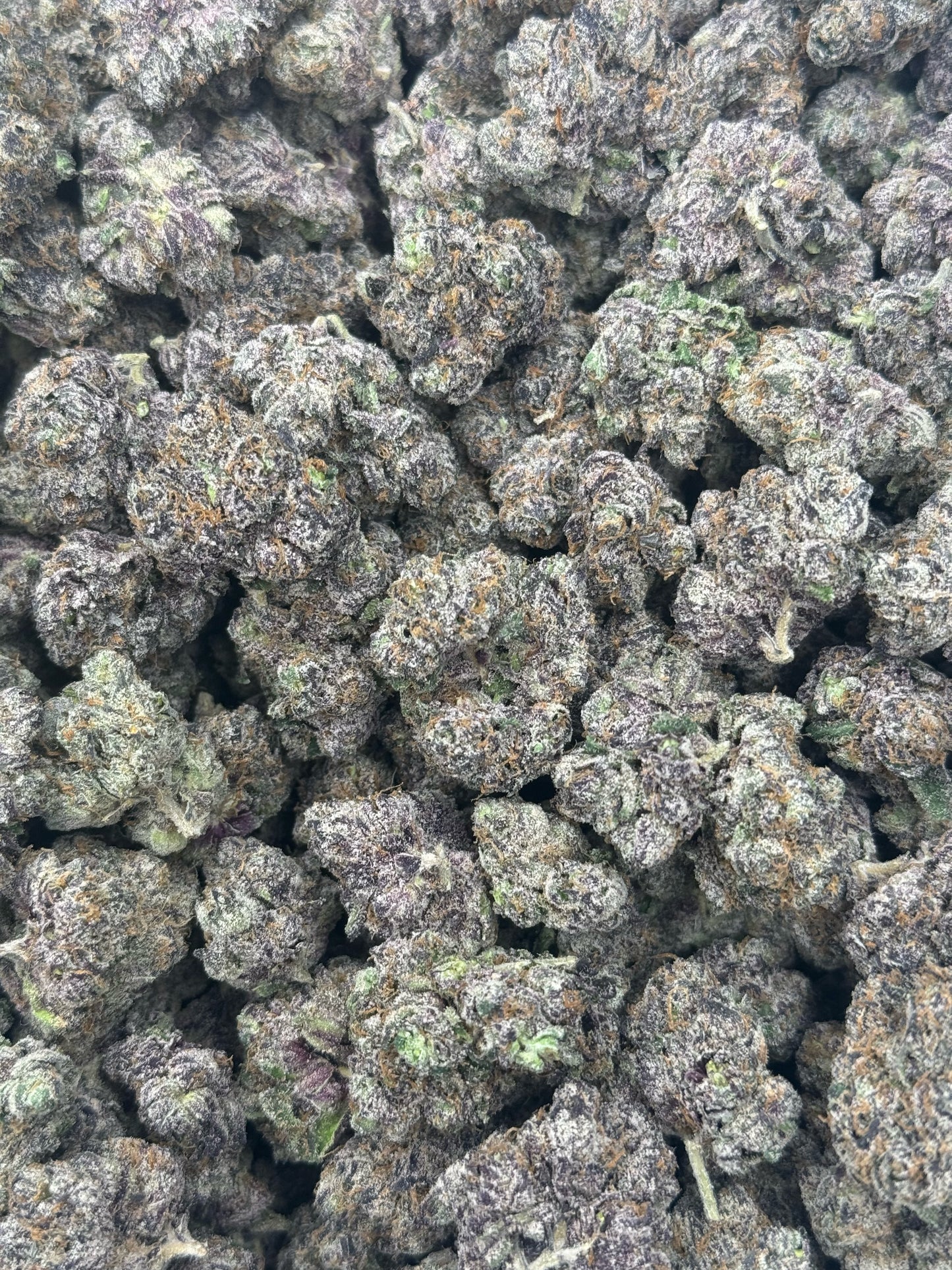 Blue Marvin Martian