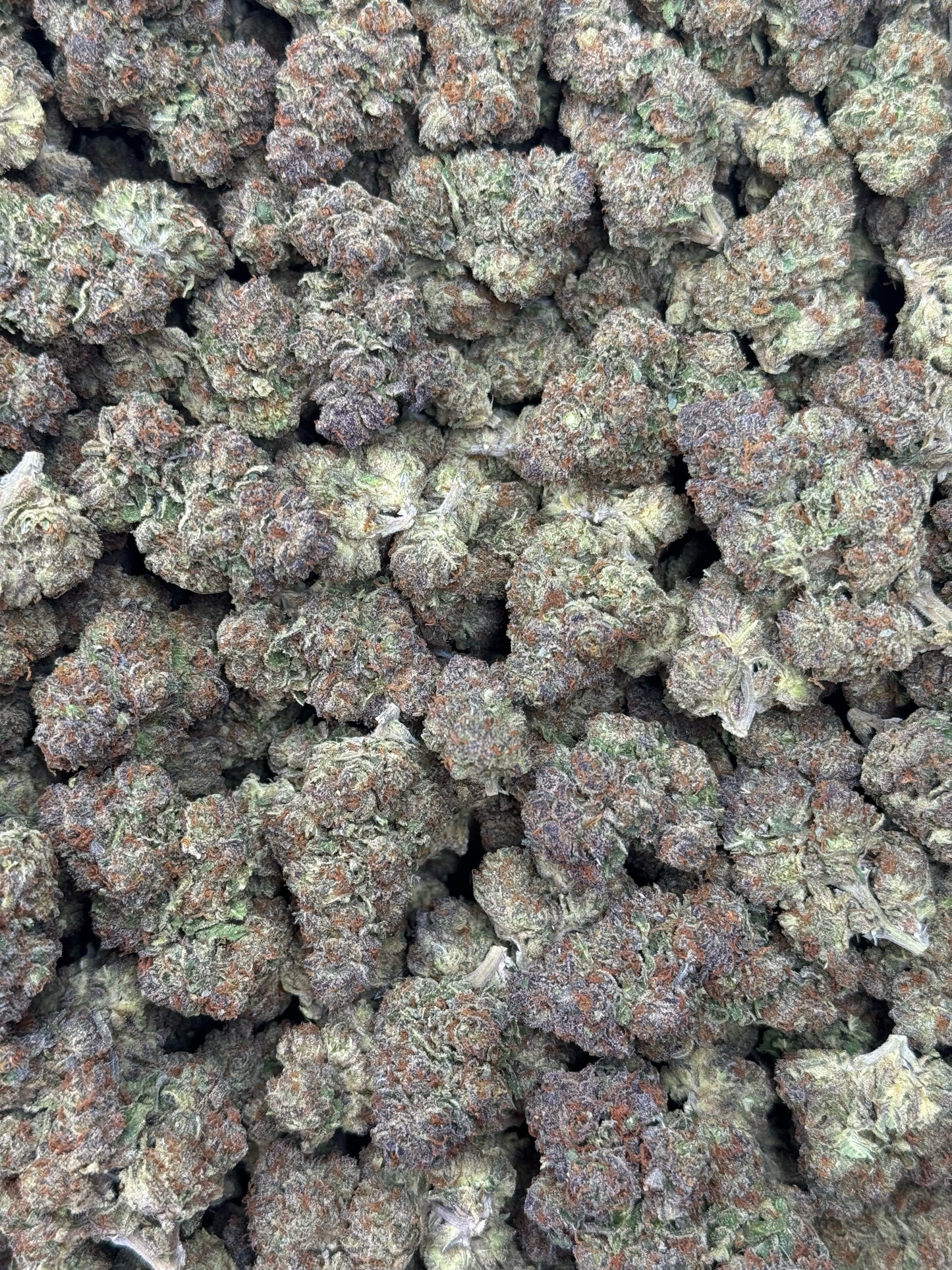 Rainbow Gelato