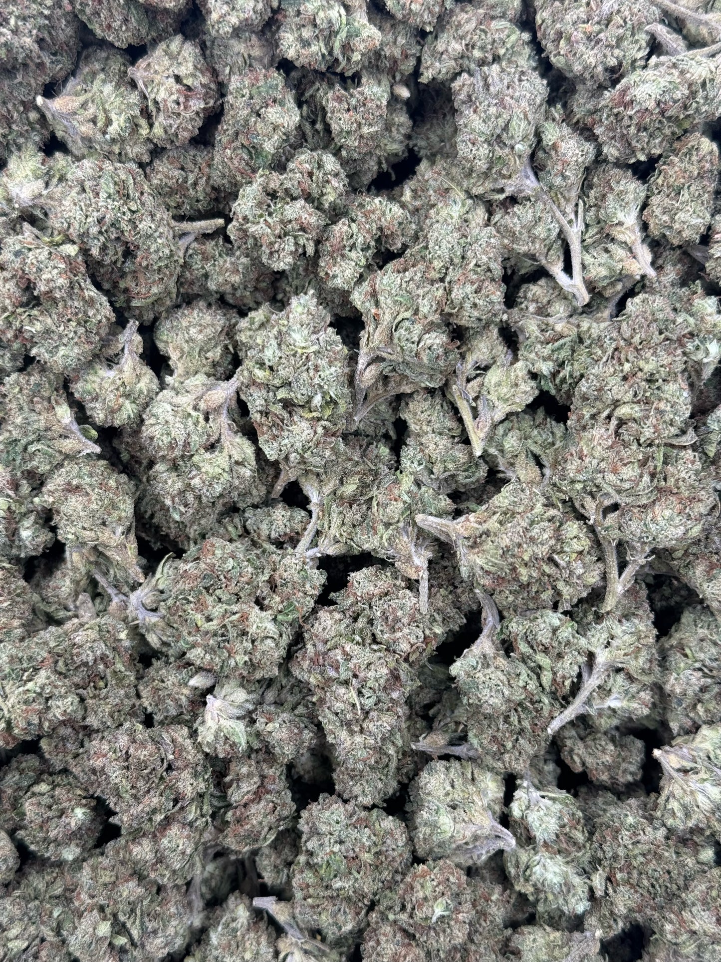 G33