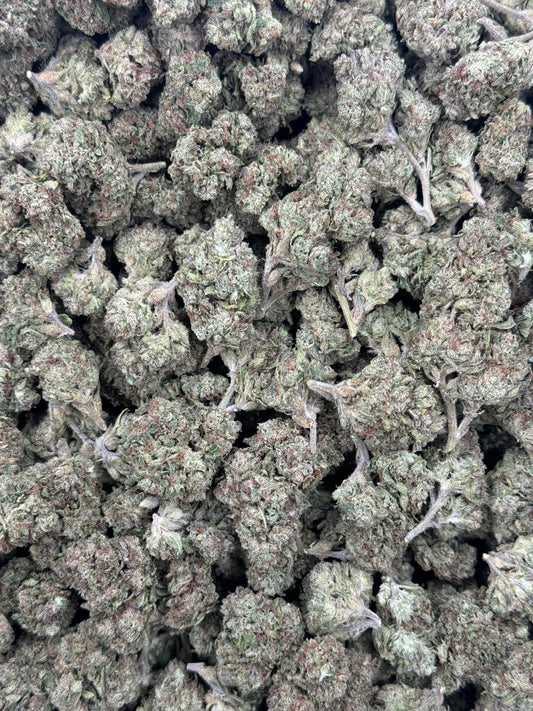 G33