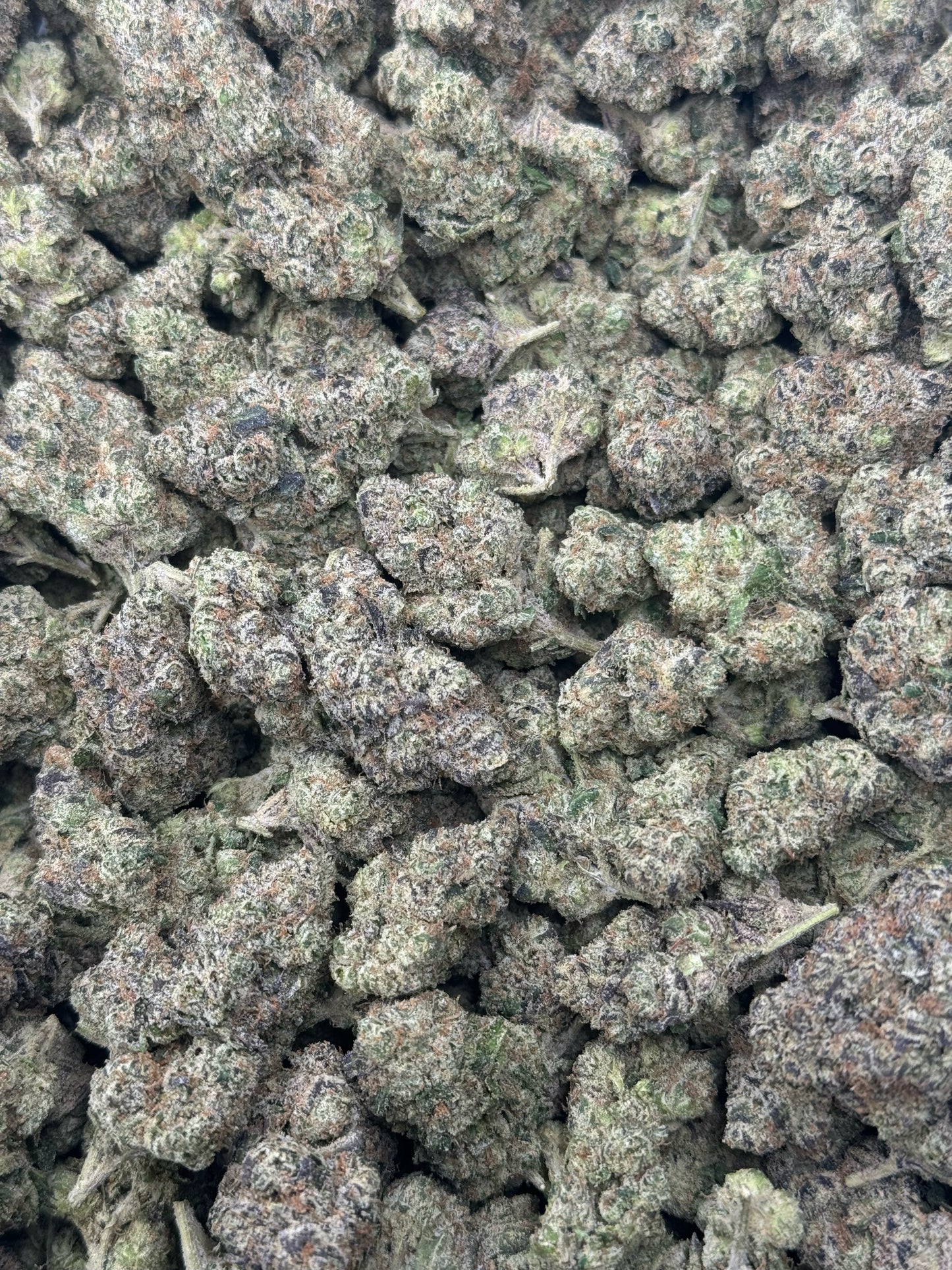 Black Cherryy