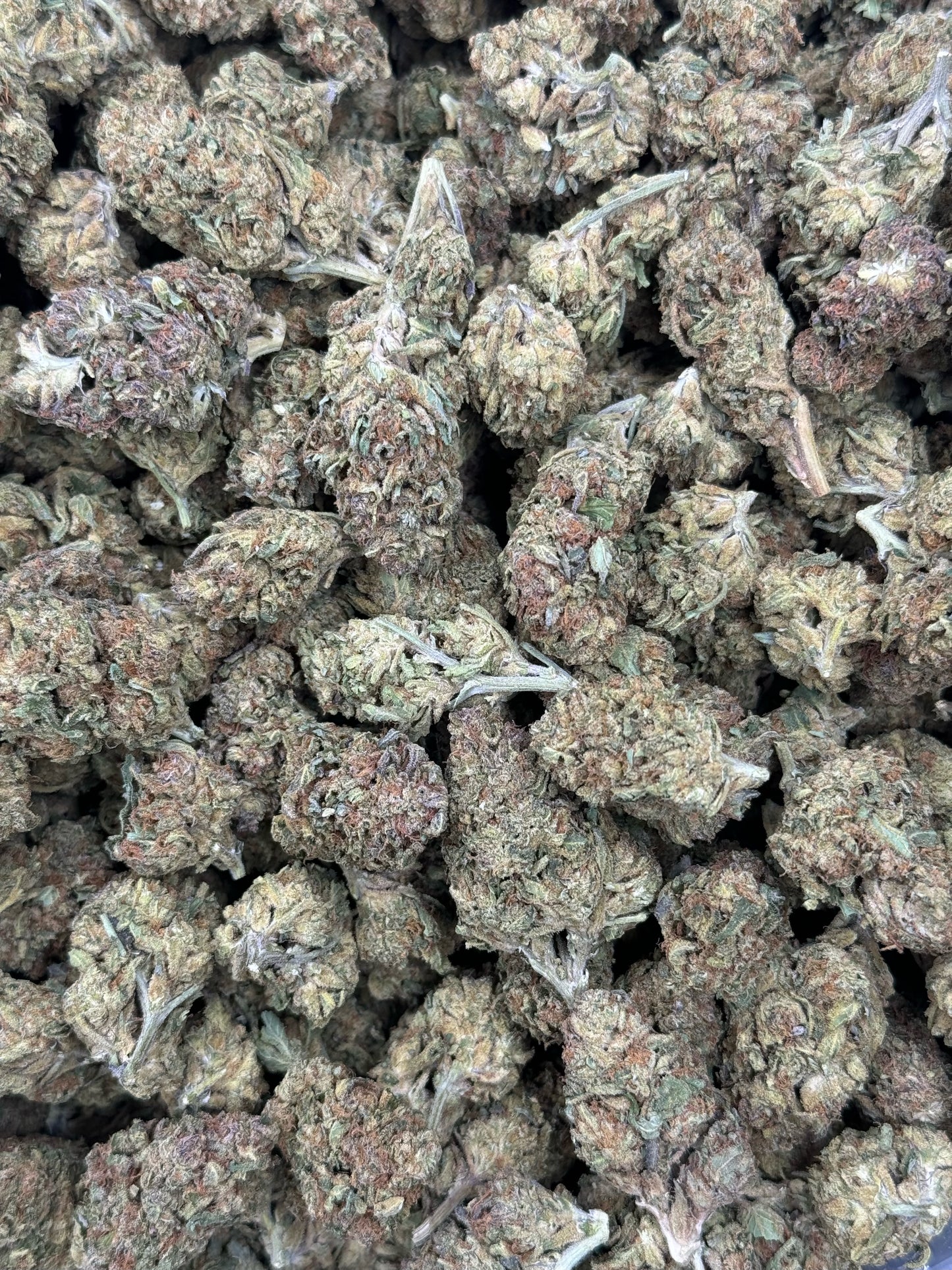 Gelato Cake