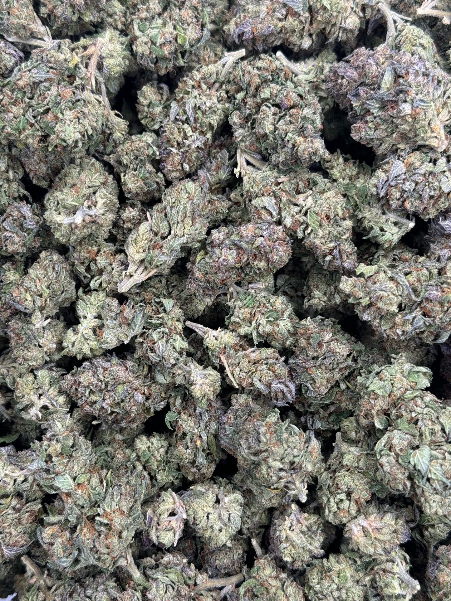 Cherry Burst