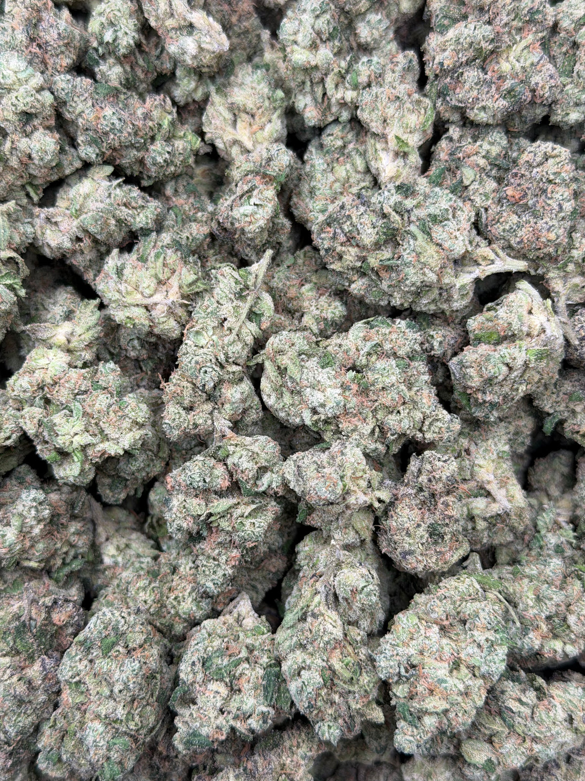 Zour Hour