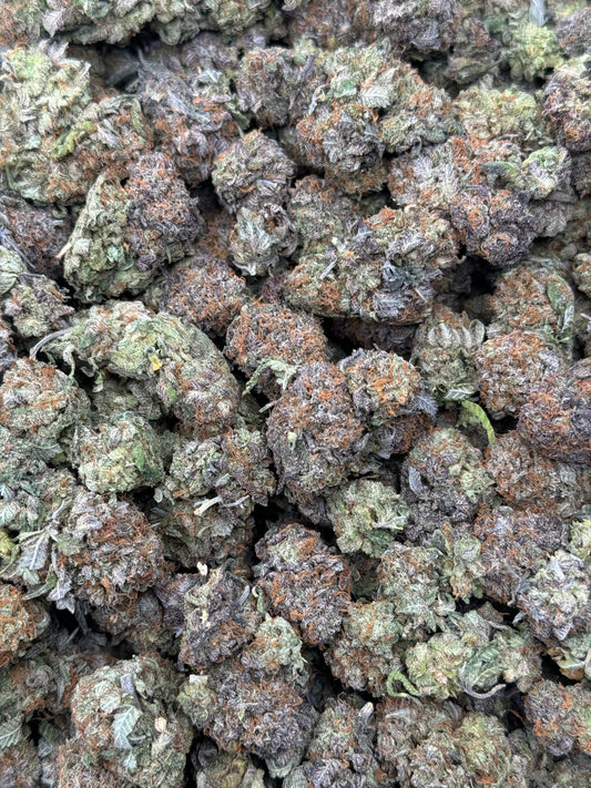 Indoor Purple Bubba
