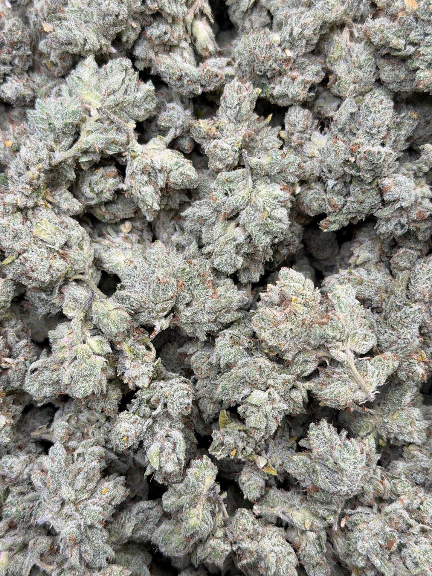 Incredible Hulk