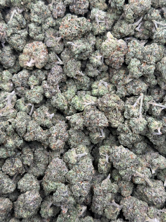 Blue Guava Mediums