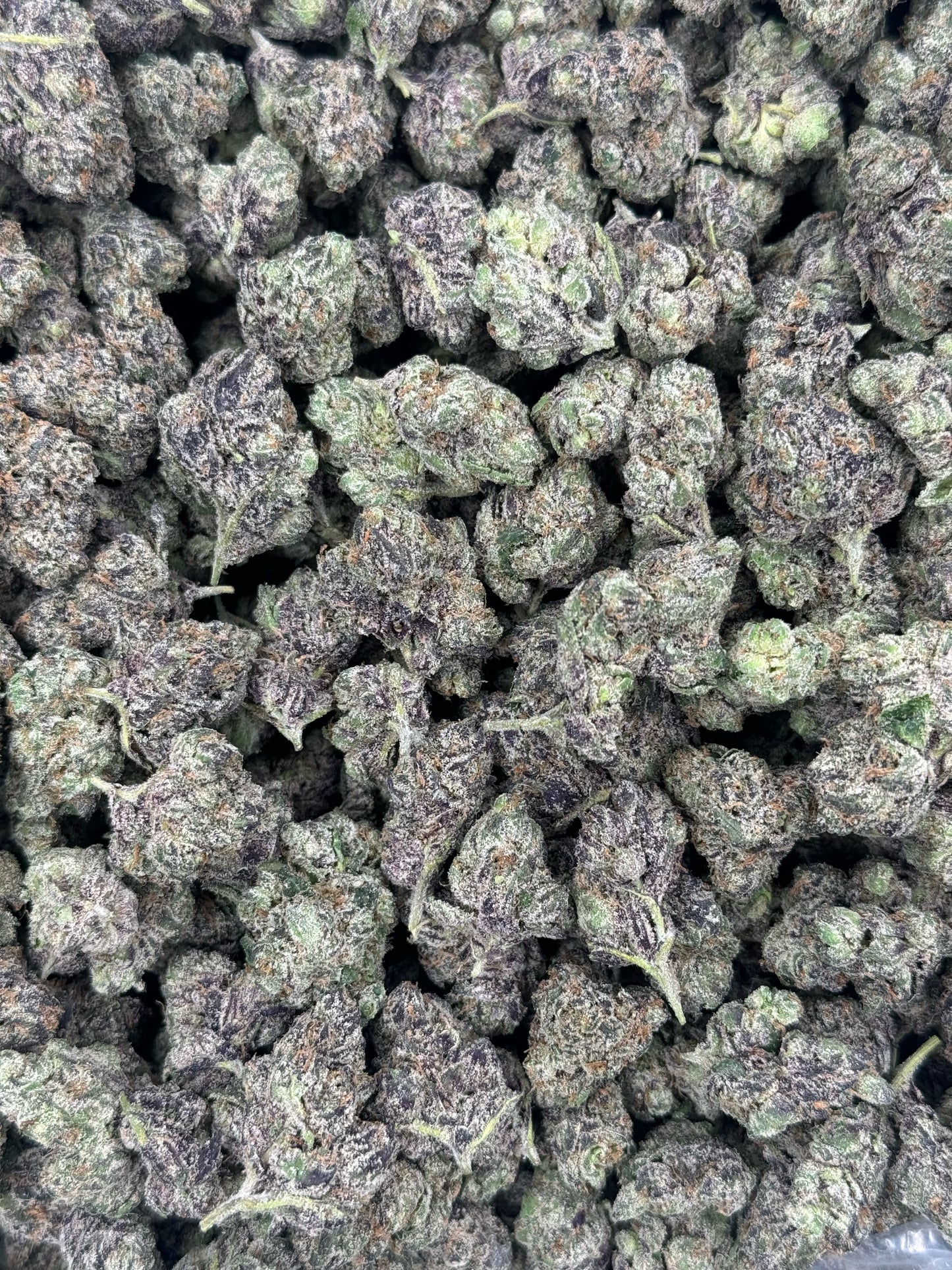 Platinum Gumbo