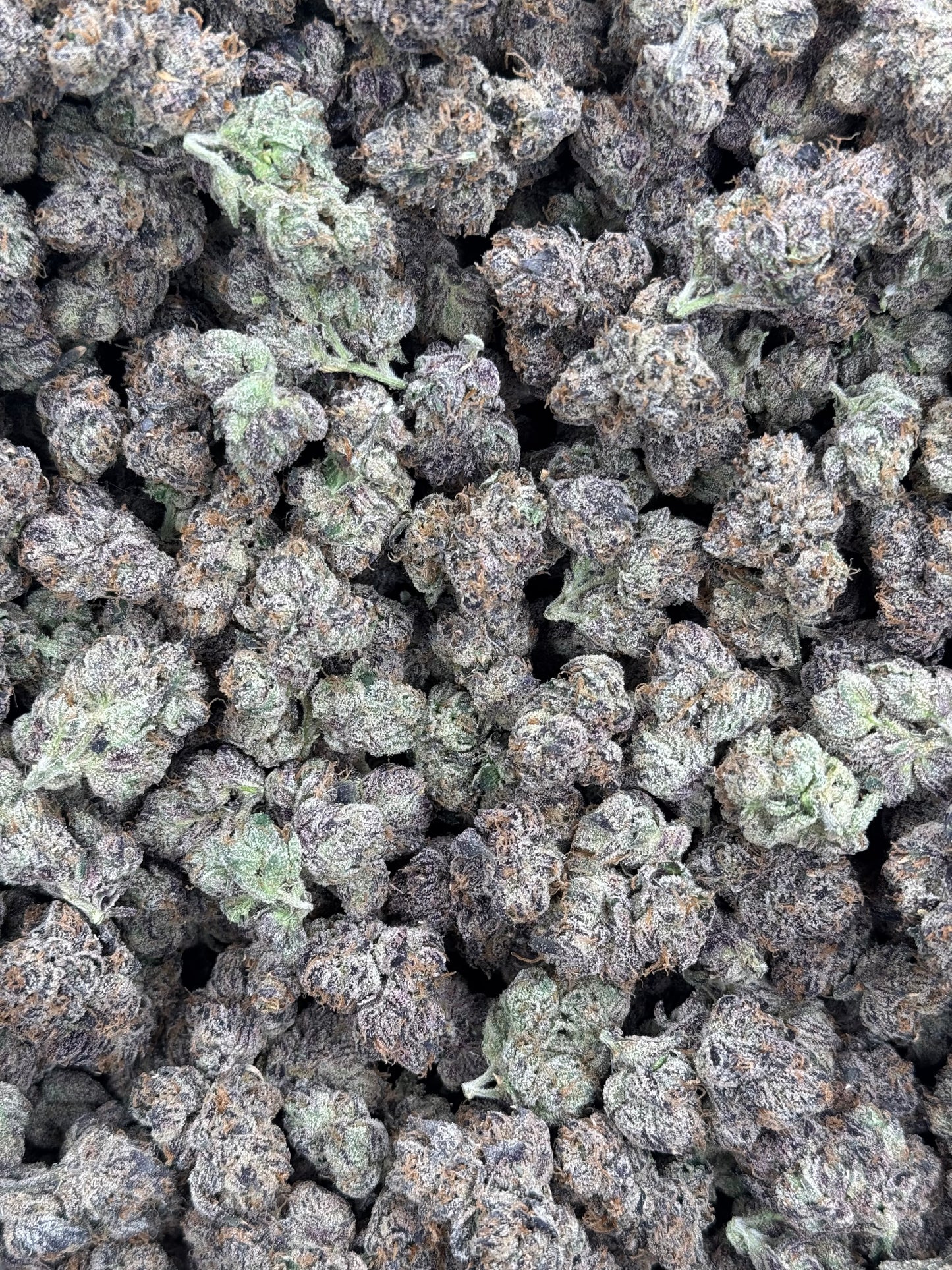 Purple Swirls