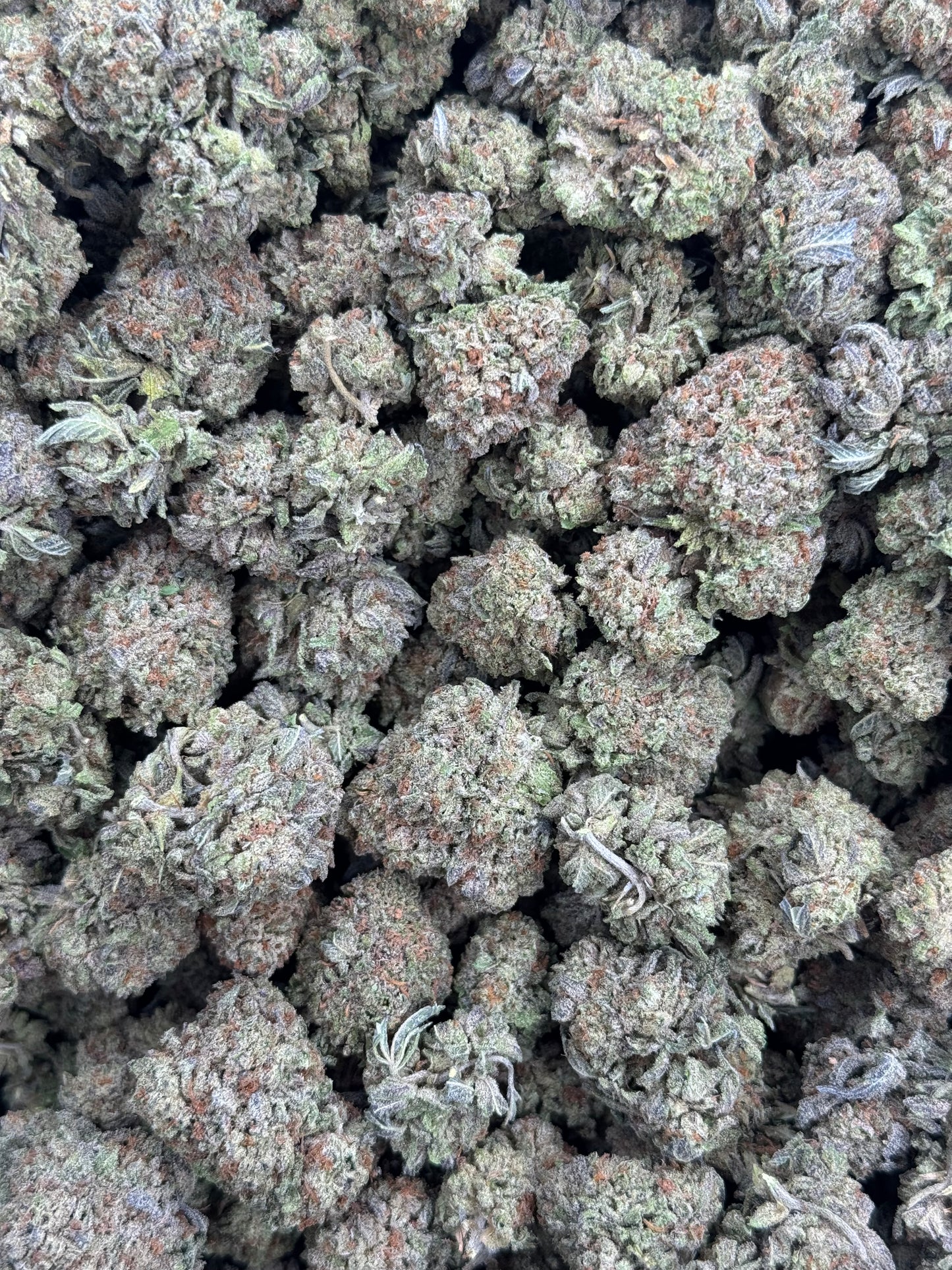 Green Apple Gelato